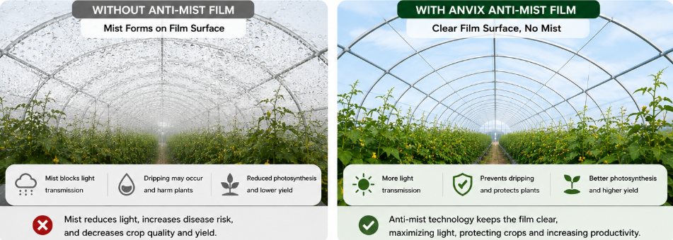 Anti-Fog / Anti-Mist