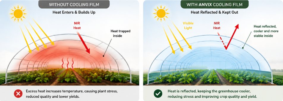 Cooling Effect