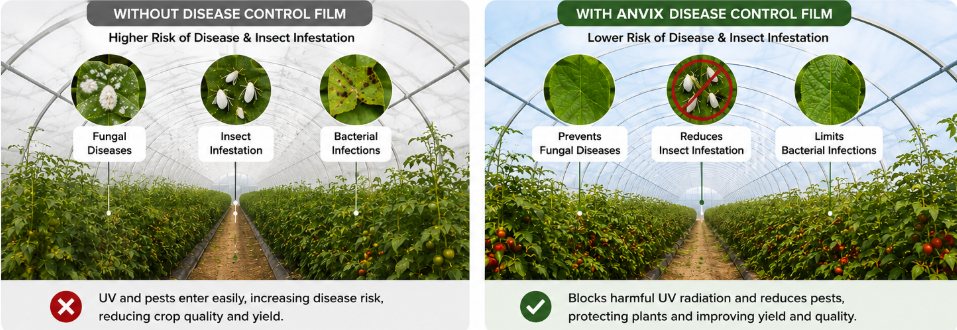 Disease Control