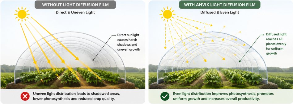 Light Diffusion